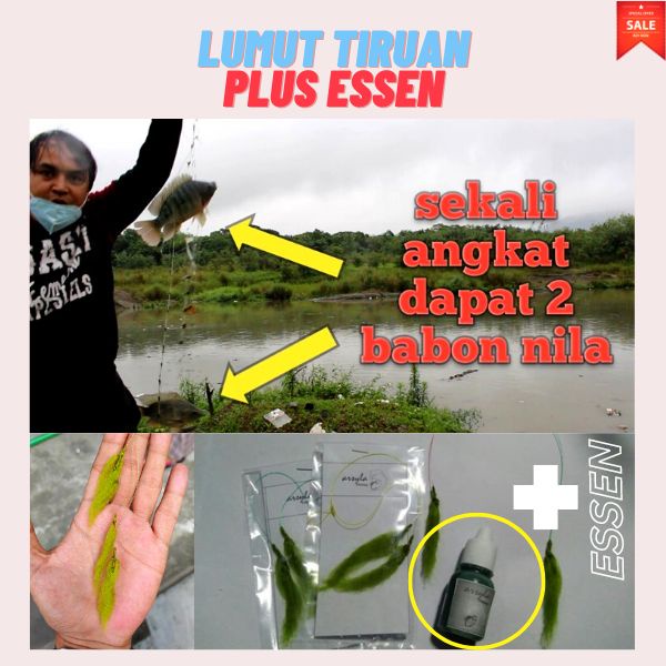 ⚡BEST SELLER⚡RANGKAIAN LUMUT SIAP PAKAI/paket umpan lumut tiruan 3kail essen/harga 1pcs Termasuk ess
