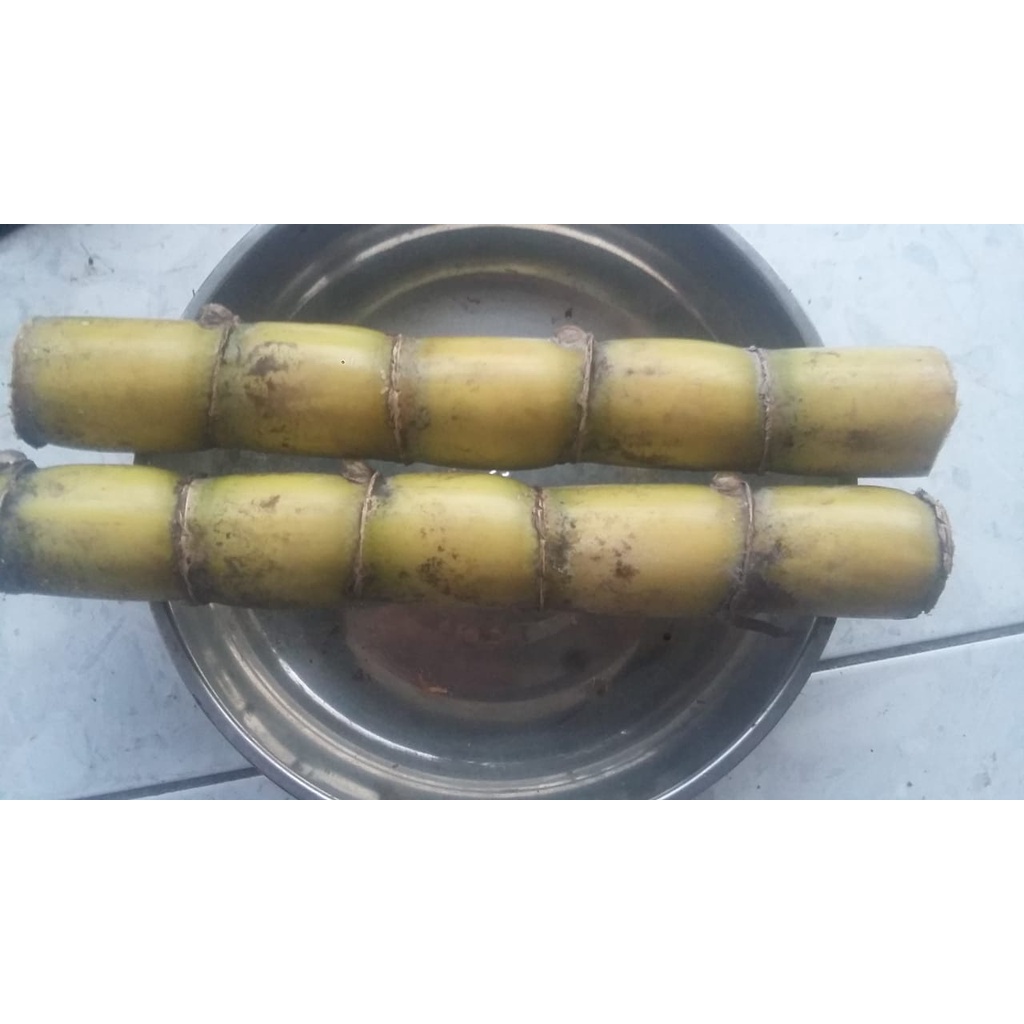 

Tebu Hijau Batang per 1 kg