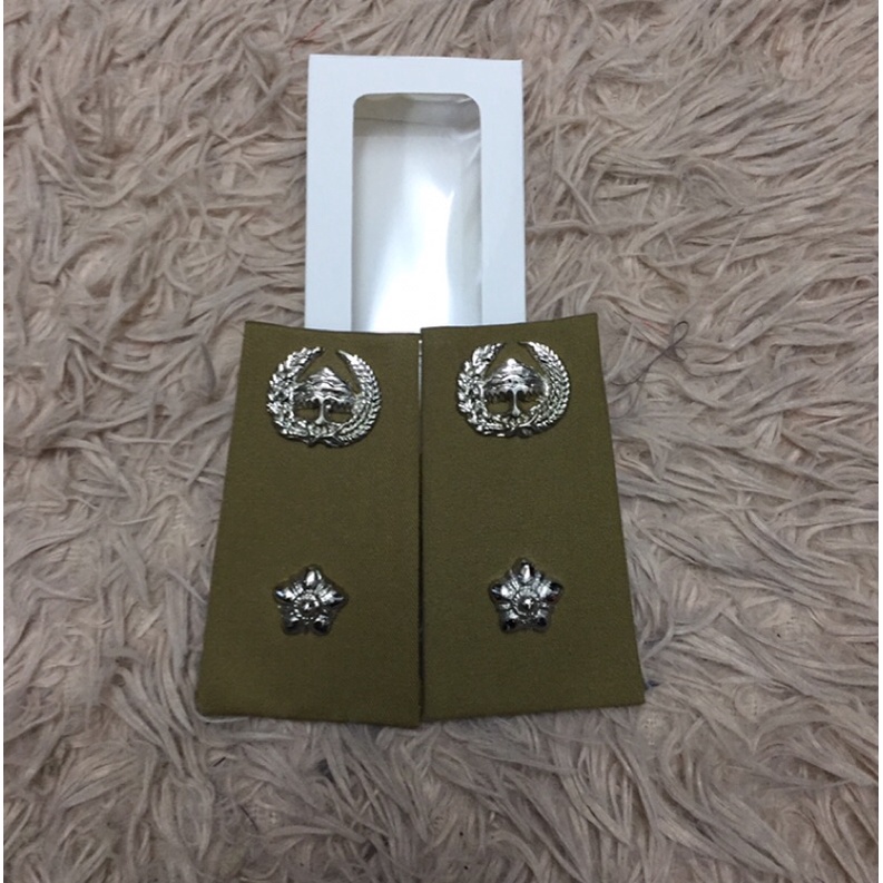 pangkat pdh lurah/pangkat pdu lurah/pangkat kades pdh dan pdu