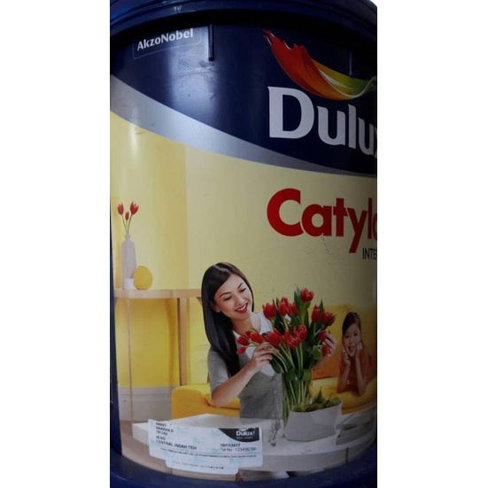 Jual Cat Dulux Catylac Interior Seamist 40115t 5kg Shopee Indonesia 2928