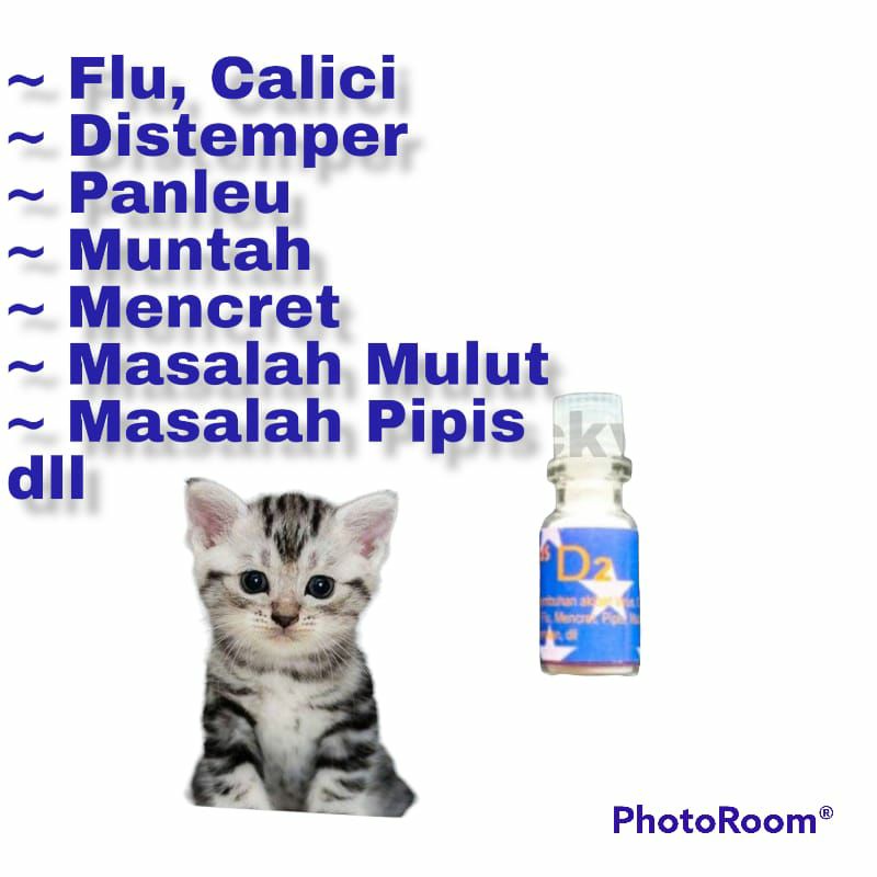 VITAMIN OBAT KUCING D2 UNTUK FLU MUNTAH FLU CALICI DISTEMPER PANLEU