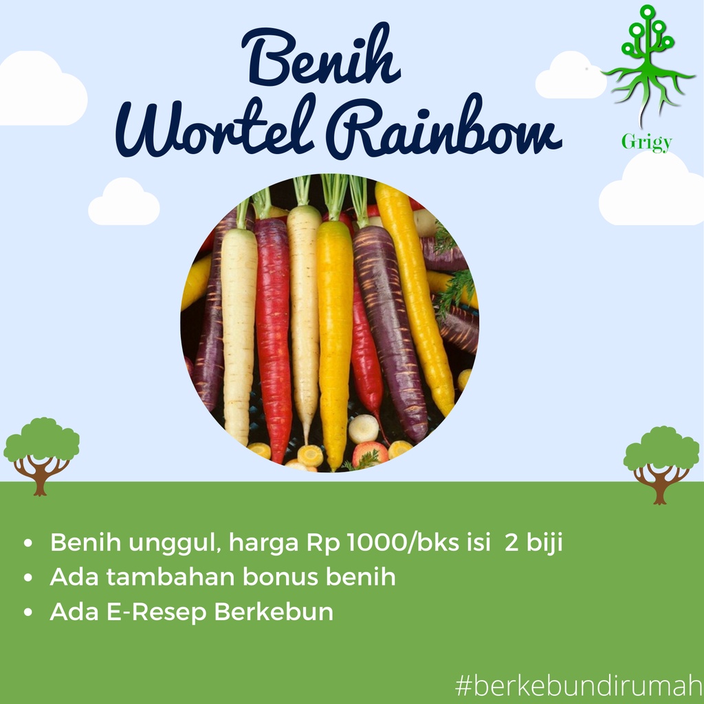 BENIH WORTEL RAINBOW / BIBIT WORTEL RAINBOW
