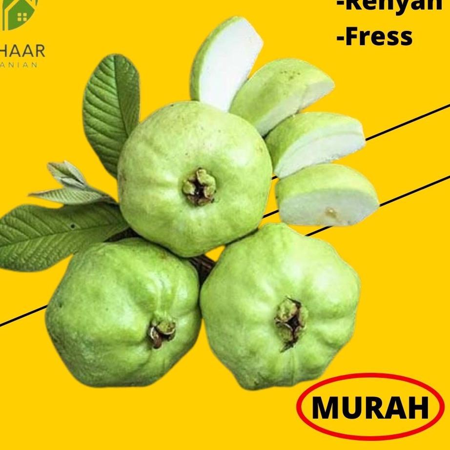 

✉ BUAH JAMBU KRISTAL NON BIJI 1KG ㅫ