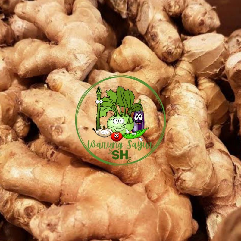 

JAHE 500 GRAM | JAHE SEGAR 500 GRAM | JAHE GAJAH | JAHE PUTIH | JAHE BESAR | BUMBU DAPUR | FRESH VAGETABLE