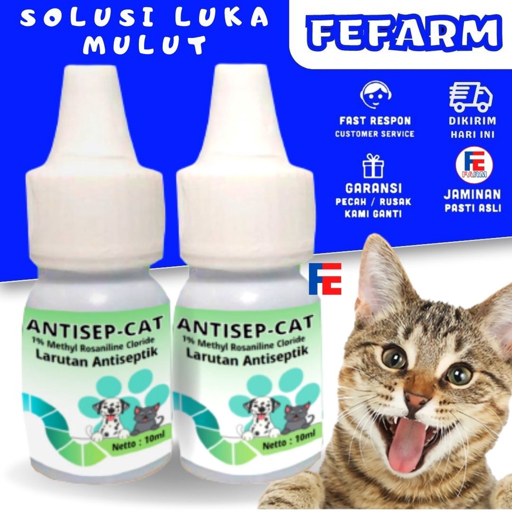 OBAT LUKA MULUT KUCING DAN ANJING ANTISEP CAT FEFARM