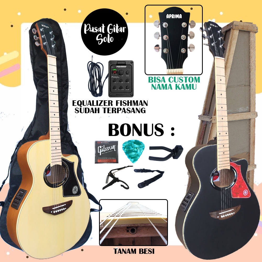 Gitar Akustik Elektrik APX Custom EQ Fishman paket hemat bergaransi