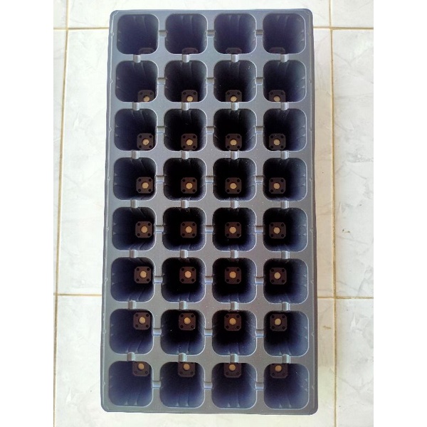 Pot tray_Tray semai 32 hole/lubang