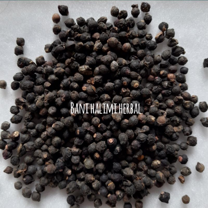 

Buah Angkung Kering Obat Stroke 500 Biji+20 Biji