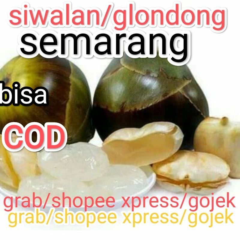 

buah siwalan utuh satu isi 3 semarang