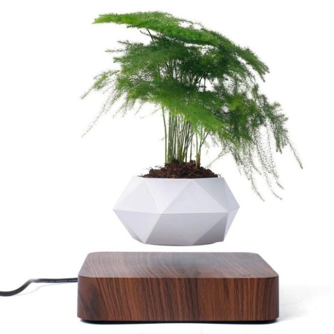 

Office & Stationery | Document Organizer | Home Desk Decoration Magnetic Levitation Floating Potted Plant | Best Seller