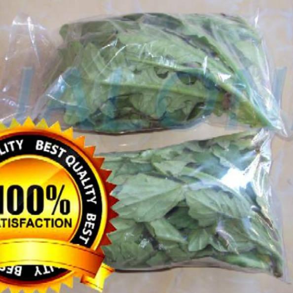 

[6] daun dewa segar asli organik 100gram bukan tapak liman tanpa pestisida Kualitas Super