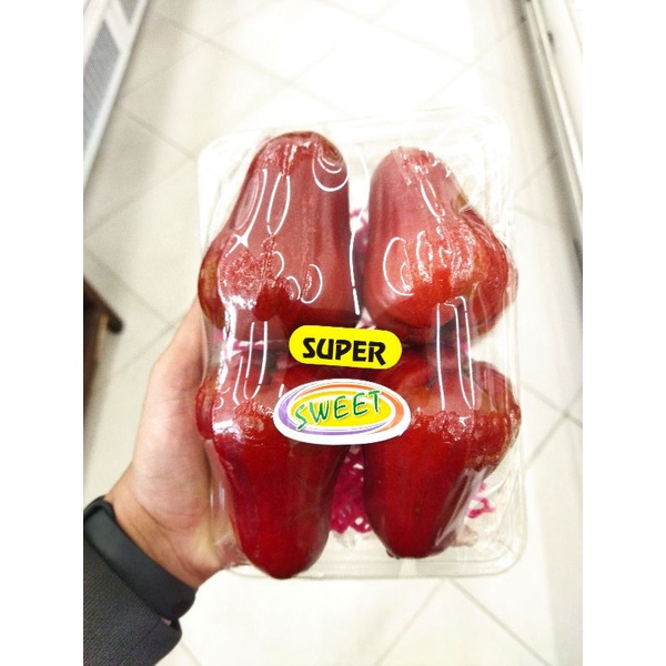 

Jambu air merah king rose super | buah jambu air manis 500 grm