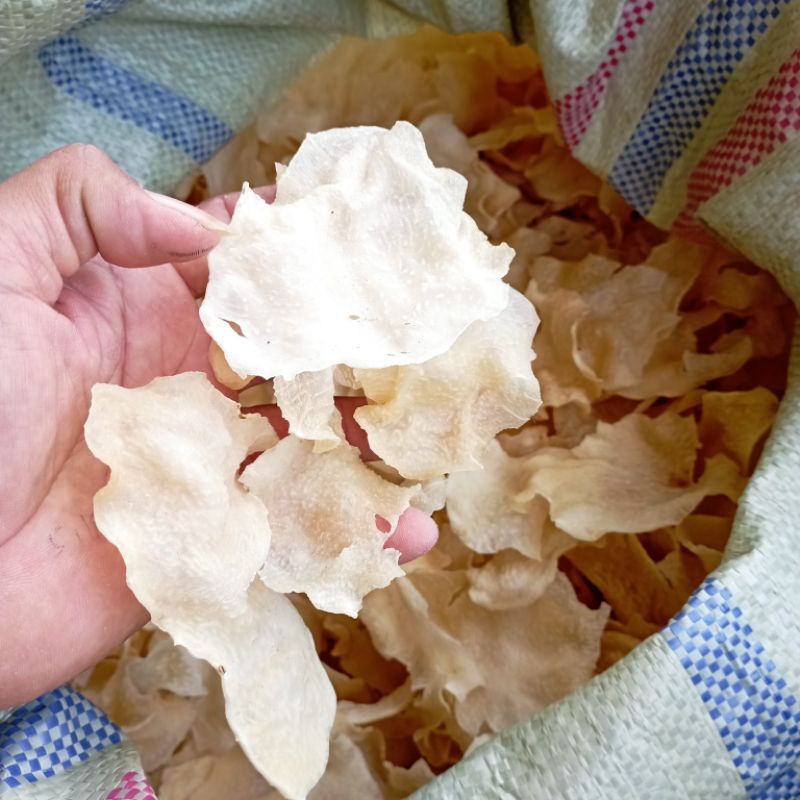 

kripik/krupuk/criping Gadung Asli
