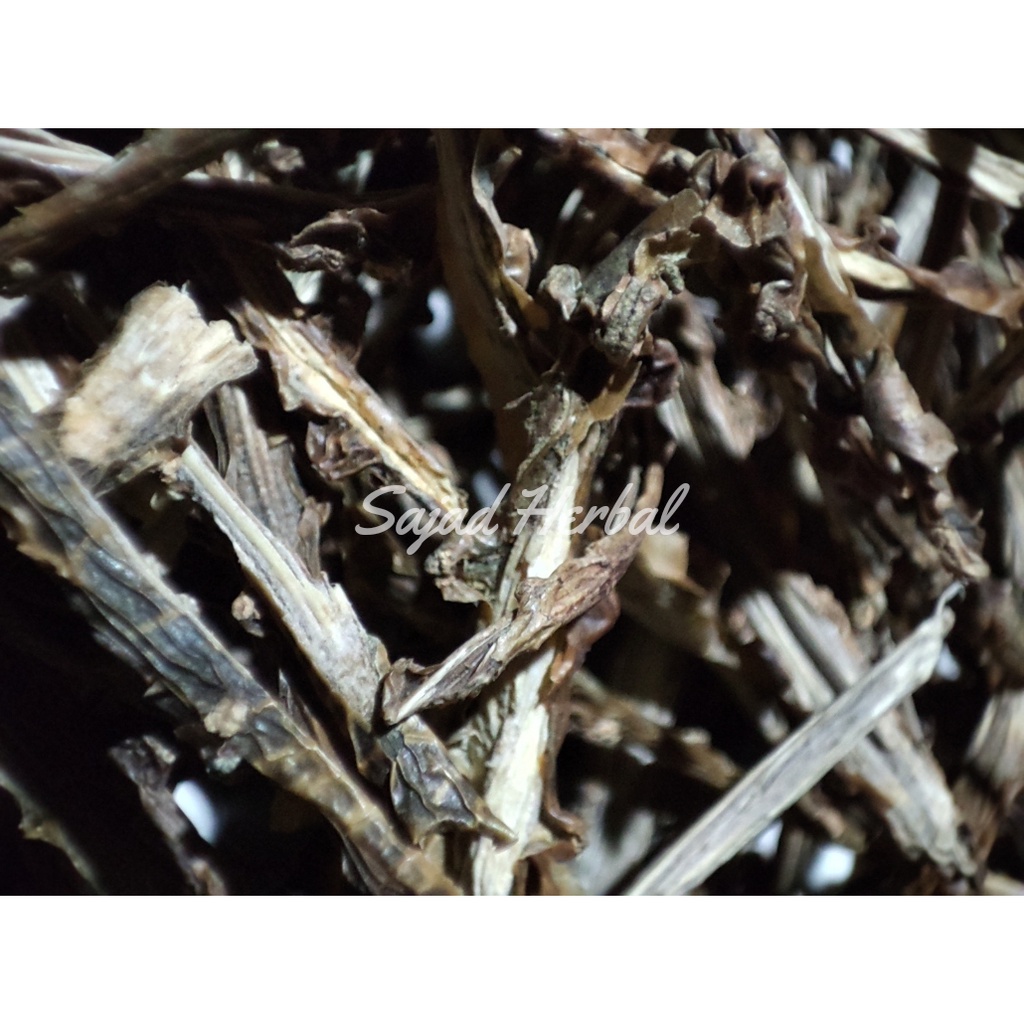 

Brotowali Kering Alami 1KG (Tinospora crispa)