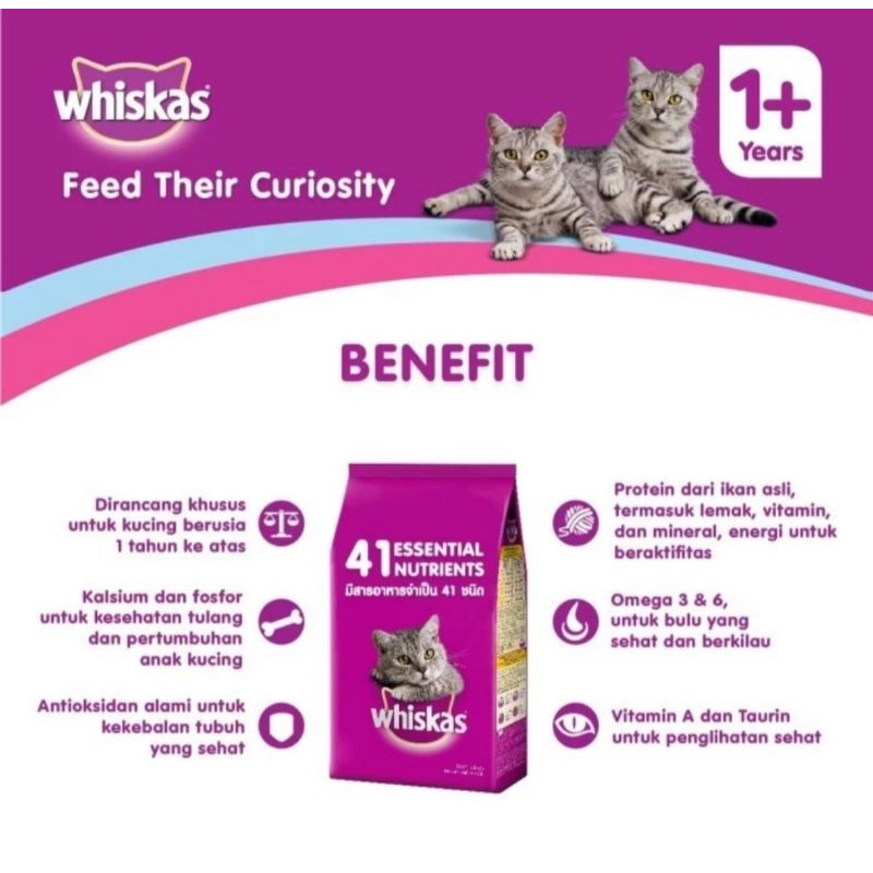 Whiskas makanan kucing 480gr