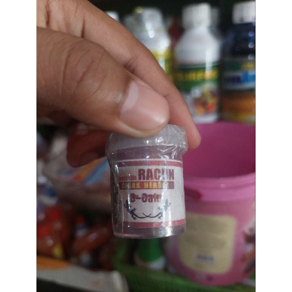 PEMBASMI CICAK - RACUN CICAK - ANTI CICAK-OBAT CICAK-BASMI CICAK,AMPUH UNTUK RUMAH DAN GEDUNG WALET 