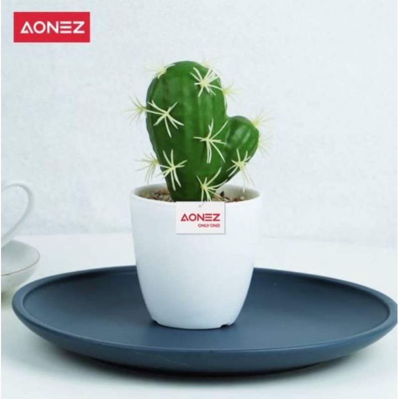 Aonez Small Two Headed Cactus