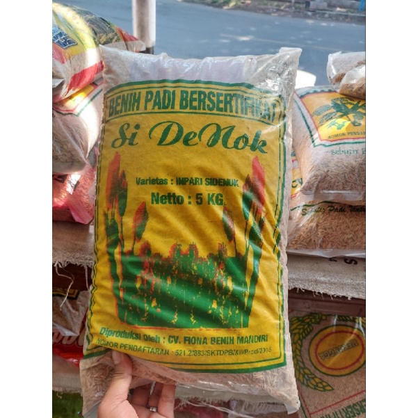 Benih Padi Inpari Sidenuk Fiona Bersertifikat 5 kg