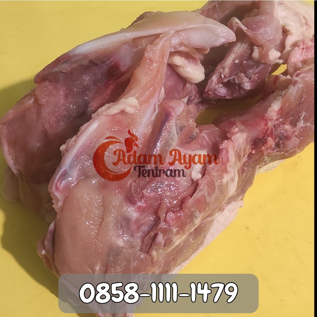 

Whole Chicken Bones/Kerongkongan/Tulang Dada Utuh