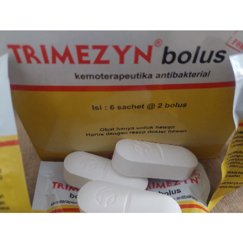 Obat Luka Antibakteri Antibiotik untuk hewan