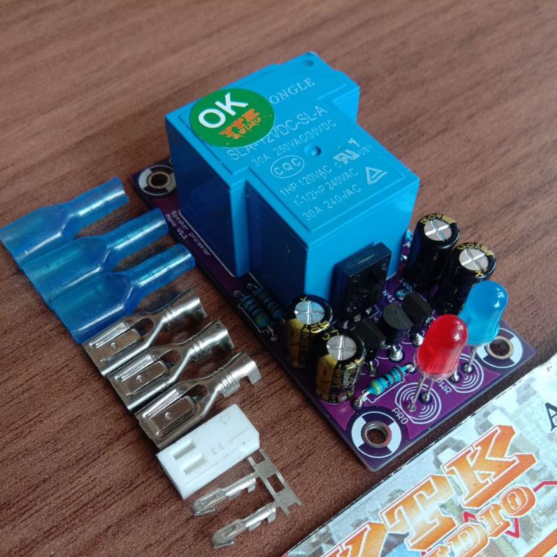 KIT Speaker Protektor Mono