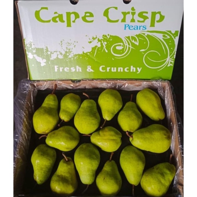 

pakcam(pear jambu)
