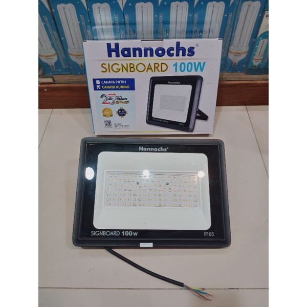 Lampu Sorot LED Hannochs 100watt