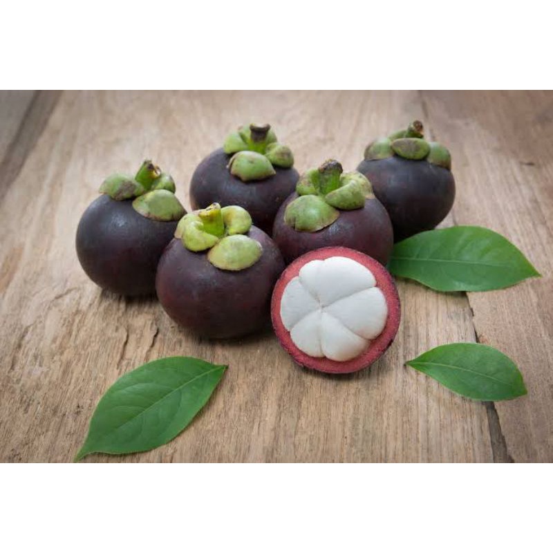 

Manggis Kerinci 1 Kg