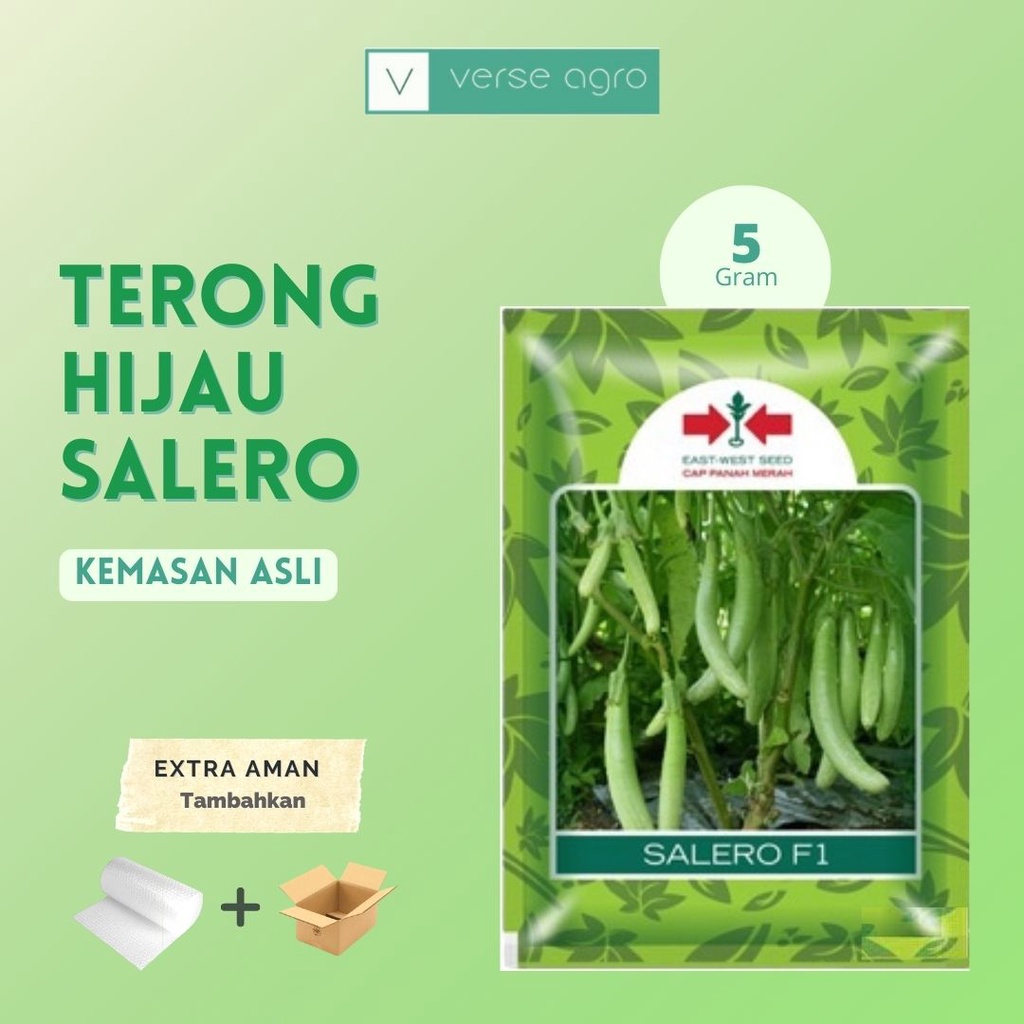 BENIH TERONG TELUNJUK HIJAU SALERO F1 5 GRAM