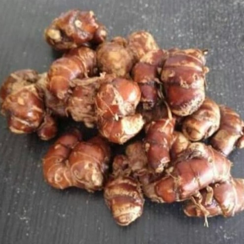 

Kencur Segar 500 gr Cekur Desa Rempah rempah