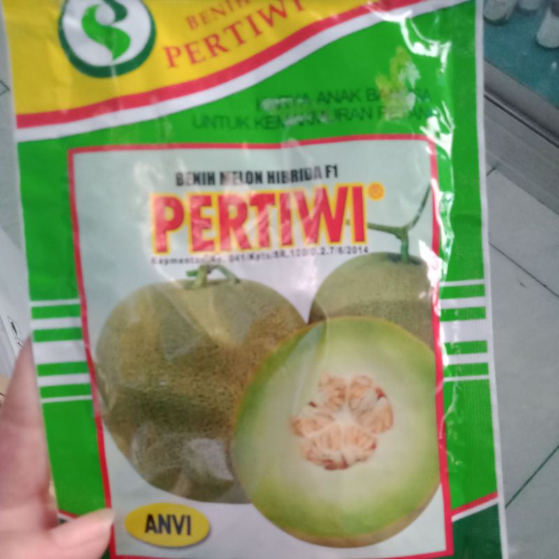 benih melon Pertiwi Anvi