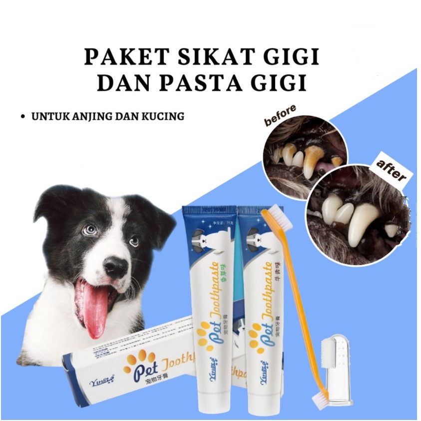 Hugopet Sikat Gigi  Kucing Anjing Pasta Gigi Tooth Brush and Paste 4 in 1 Set For Pet