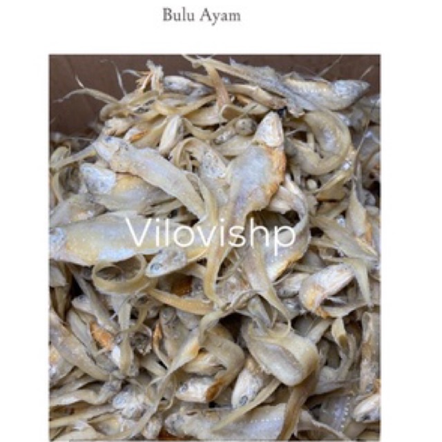 

Ikan asin Bulu ayam 1kg