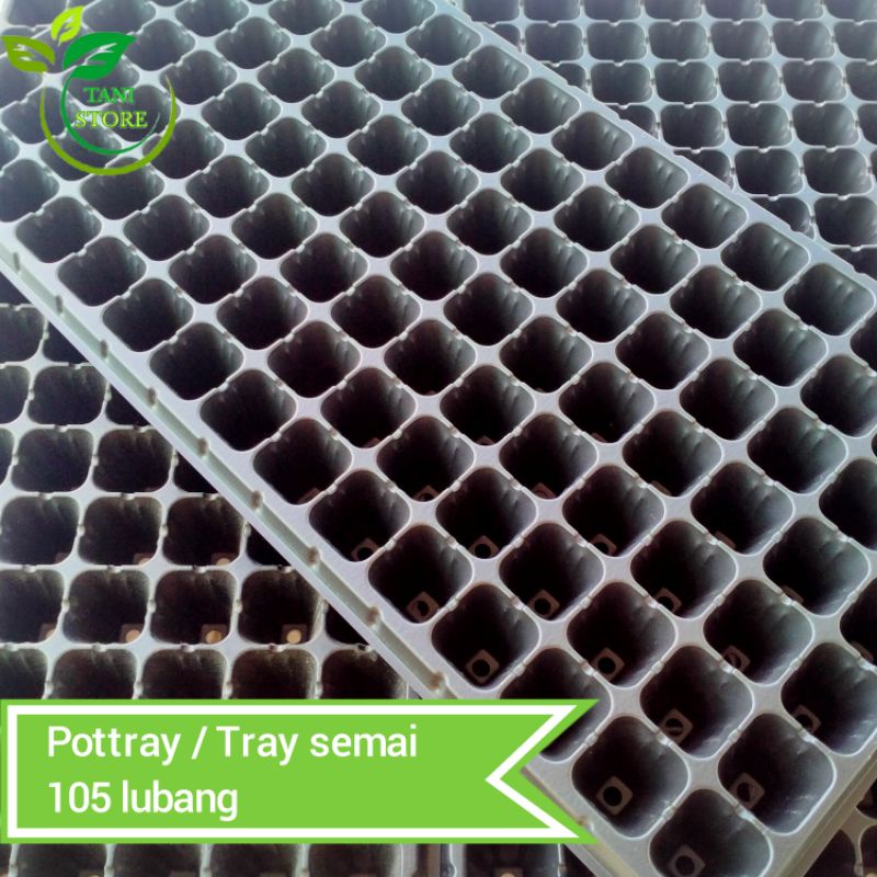 Pot tray_Tray semai 105 hole/lubang_Cocok untuk bibit cabai