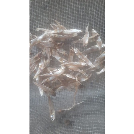 

ikan kering teri ciples.