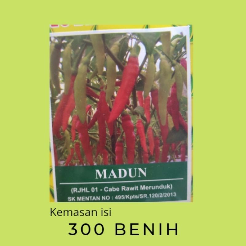 BENIH CABE RAWIT MADUN || CAP MUTIARA BUMI