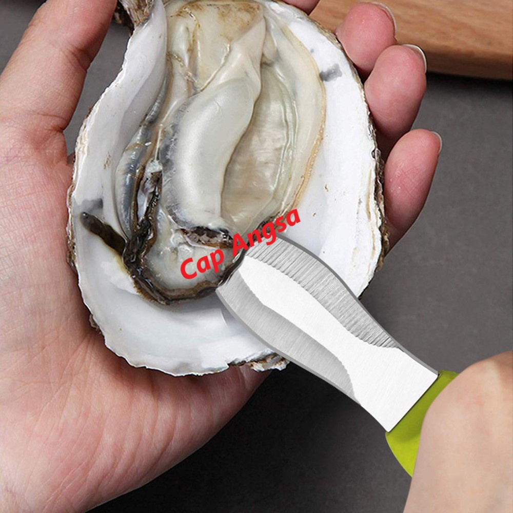 PISAU TIRAM ALAT PEMBUKA KERANG CUNGKIL CONGKEL BUKAAN SHEL FISH OYSTER KNIFE SHELFISH SHUCK KNIFE