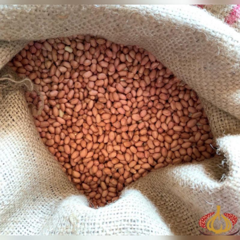 

500 gr setengah kilo kacang tanah kupas super