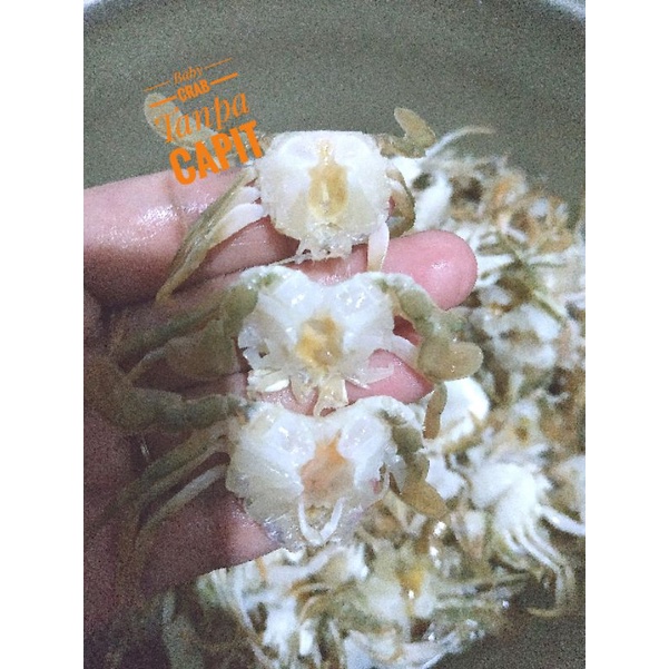 

Baby Crab Frozen Tanpa Capit 1 kg