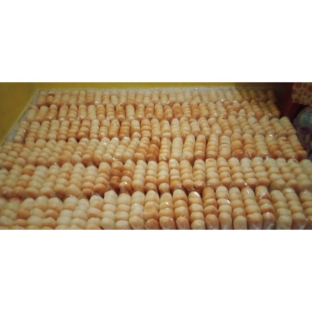 

ROTI BURGRER MINI