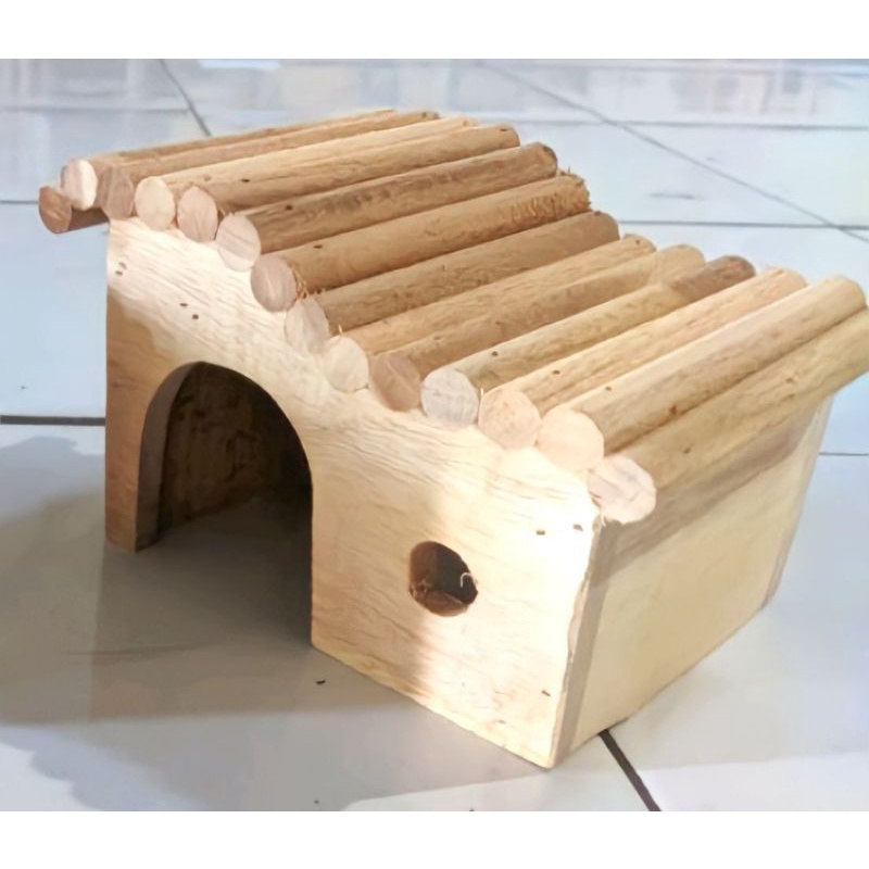 rumah hamster landak mini