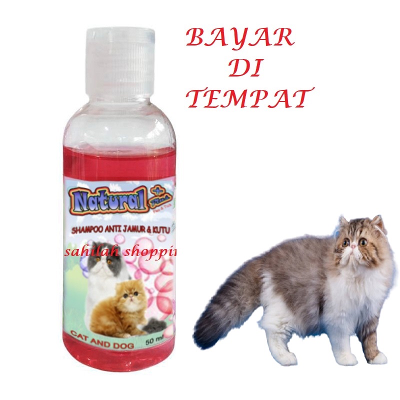 PAKET GROOMING TERMURAH HEWAN KUCING ANJING SAMPO GUNTING SISIR KARET