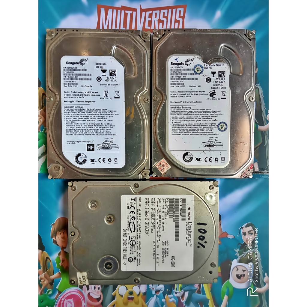 HARDDISK 250GB SATA