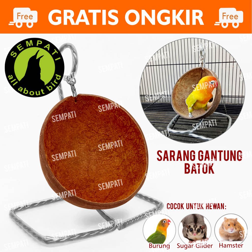 BATOK GOYANG MAINAN AYUNAN BURUNG HAMSTER SUGAR GLIDER TANGKRINGAN LOVEBIRD PARKIT FALK KENARI BTGYG