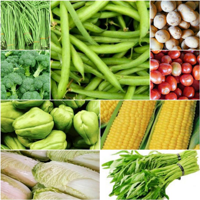 aneka sayur murah mulai 5000