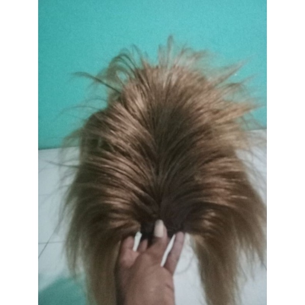 jambul ganongan_topeng bujang ganong