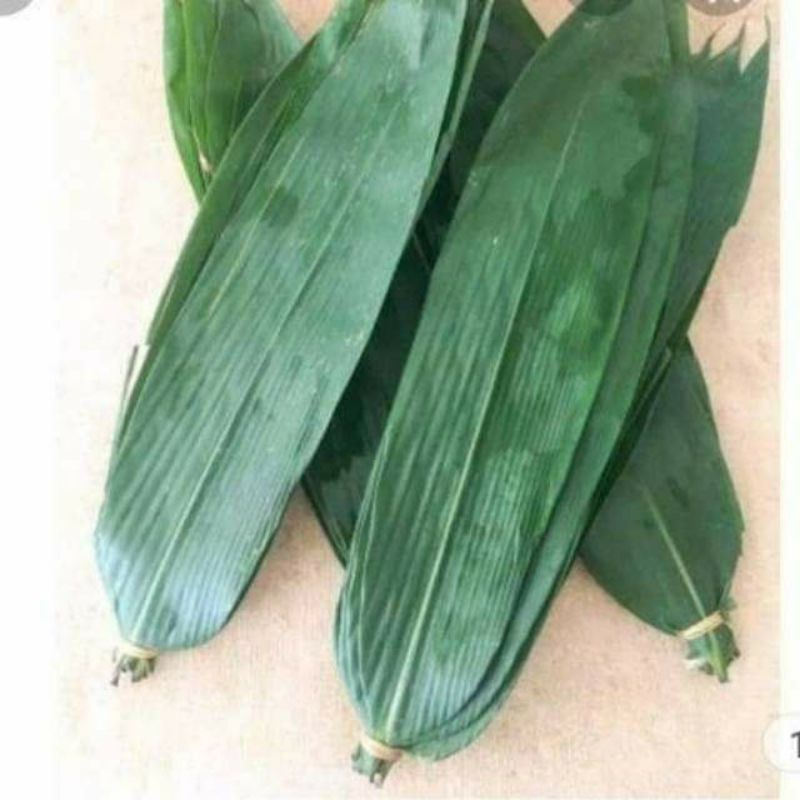 

daun bambu segar / daun bambu / daun bungkus bacang/ bacang / daun /daun segar/ bambu /daun bambu/ daun bacang /daun bambu besar dan panjang/ bungkus bakcang