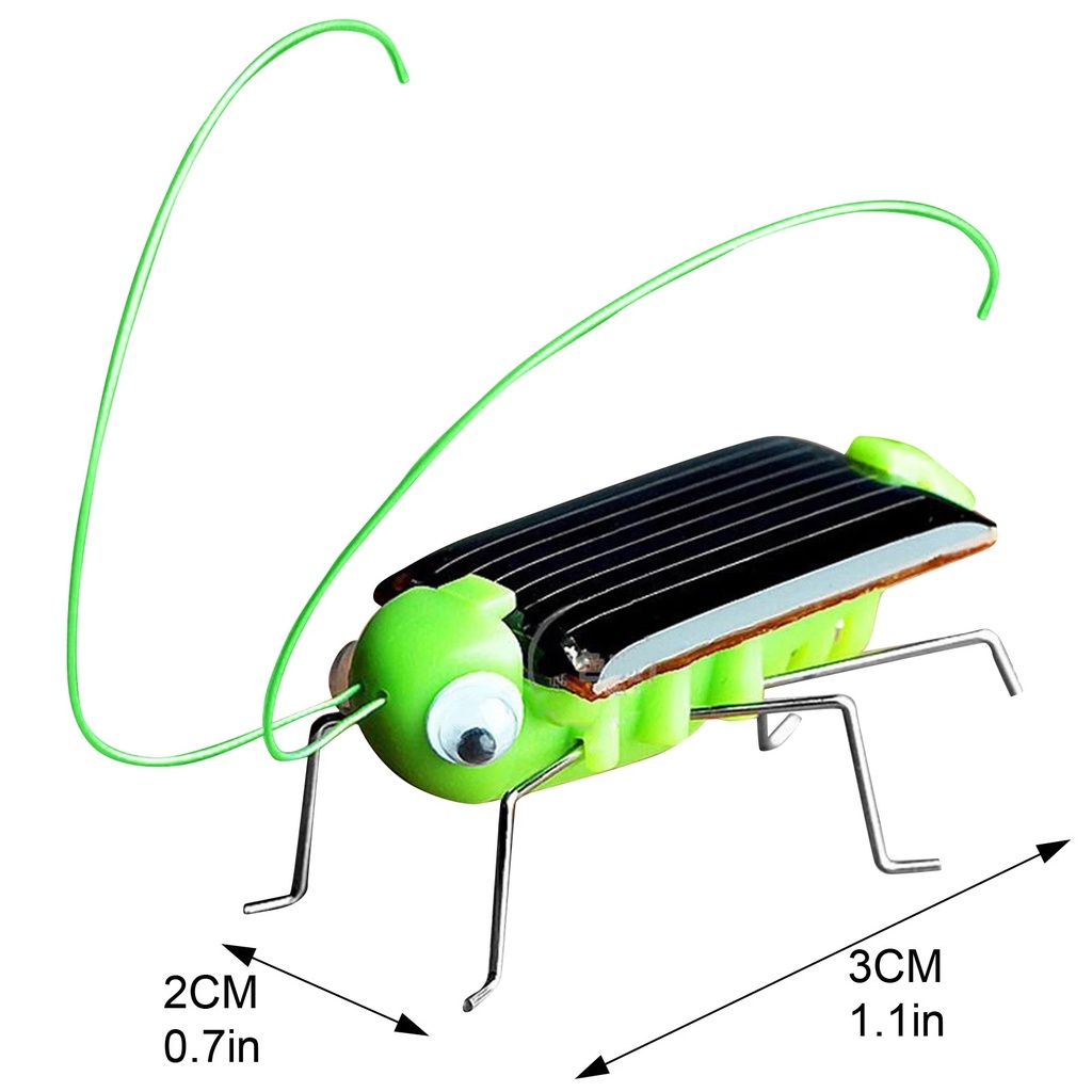Mainan Simulasi Belalang Mini Tenaga Surya Untuk Edukasi Anak