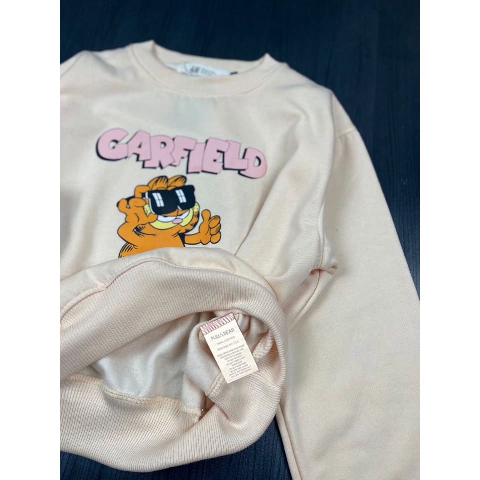 sweater crewneck crop pnb garfield free bag