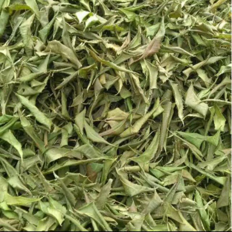 

Daun mimba kering 1000gram